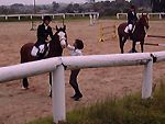 equitation mindoube