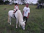 equitation mindoube