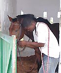 equitation mindoube