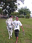 equitation mindoube