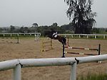 equitation